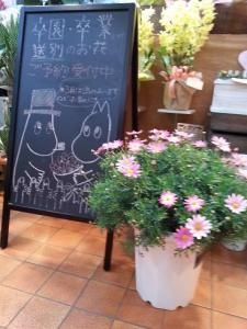 どでかい✿マーガレット！｜「フラワーショップテラオ」　（愛知県名古屋市守山区の花キューピット加盟店 花屋）のブログ